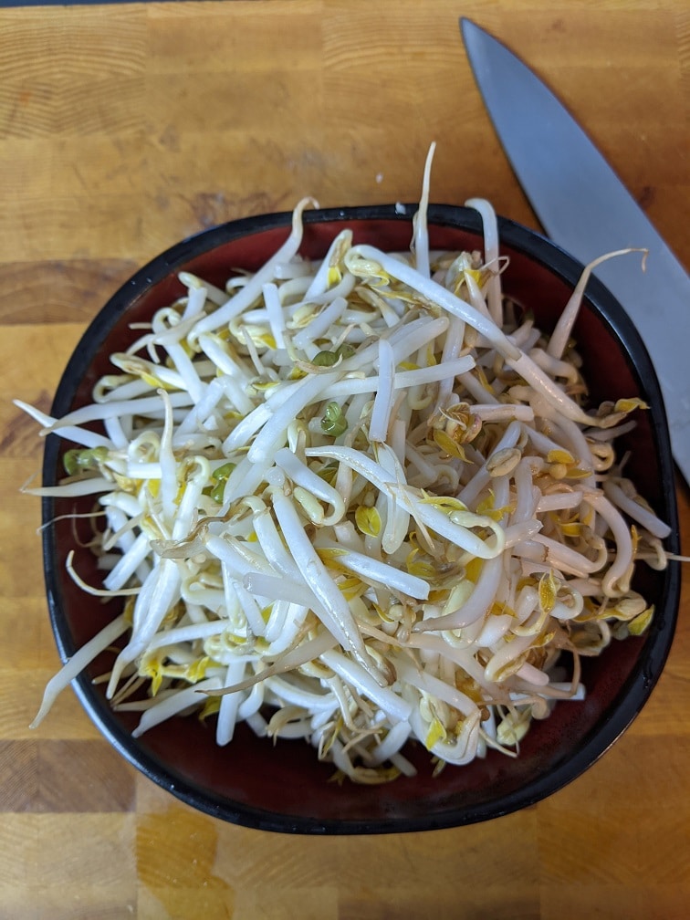 Fresh bean sprouts washed and drained