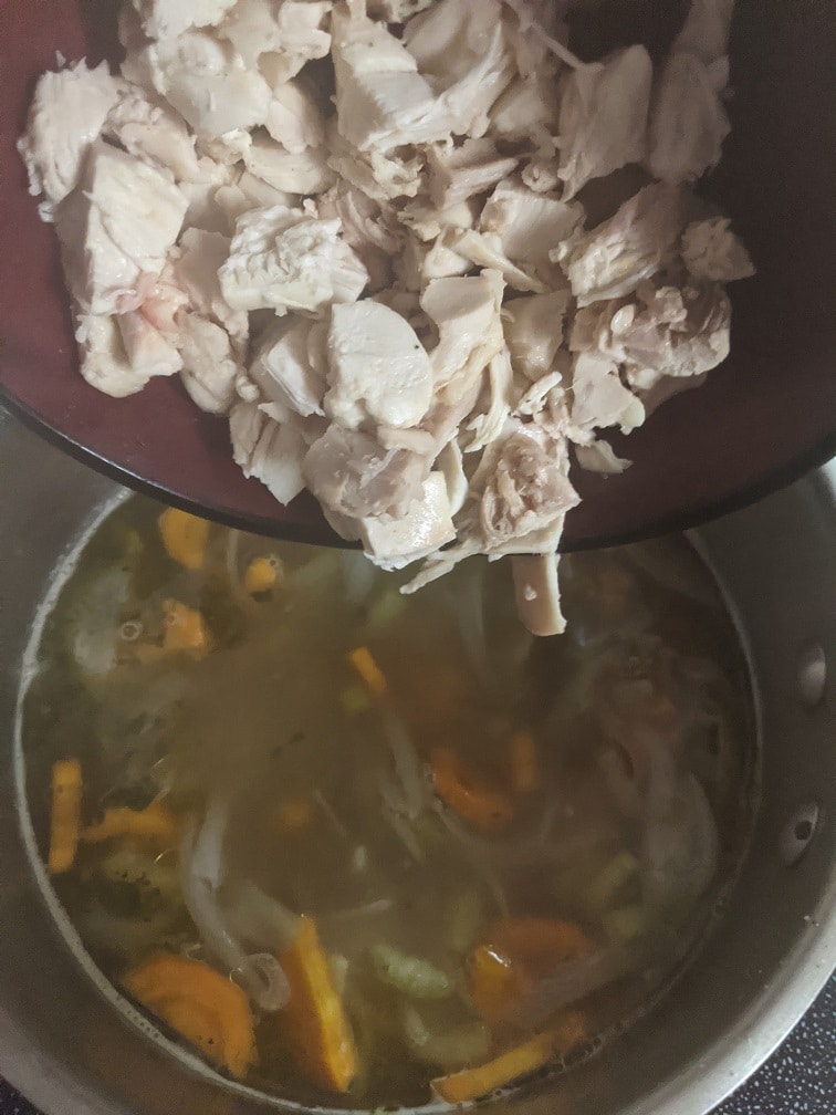 Finished chicken noodle soup ready to serve